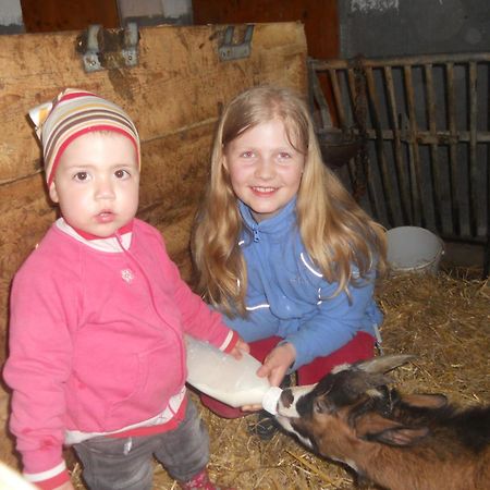 Hanserhof Zell am Ziller Εξωτερικό φωτογραφία