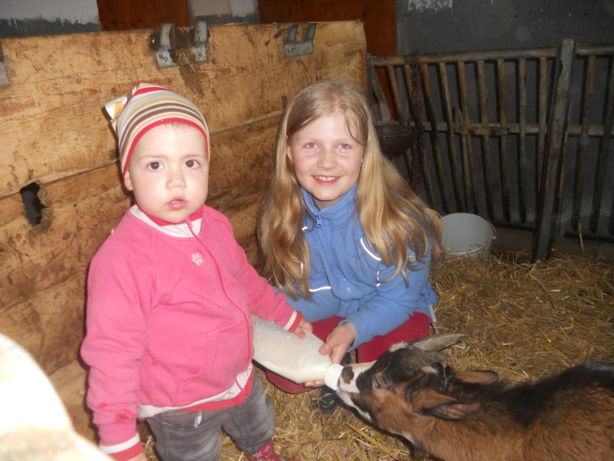 Hanserhof Zell am Ziller Εξωτερικό φωτογραφία
