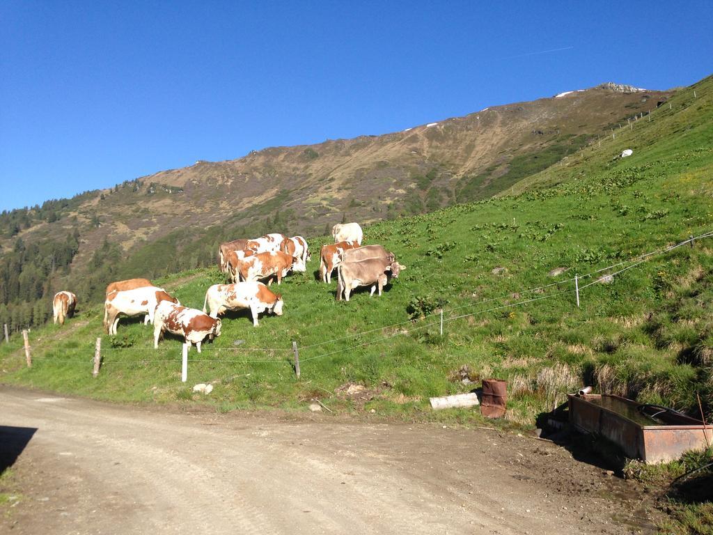 Hanserhof Zell am Ziller Εξωτερικό φωτογραφία